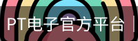 PT电子